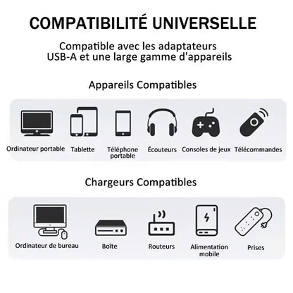 Câble de charge USB 4 en 1 charge rapide MAX 240W