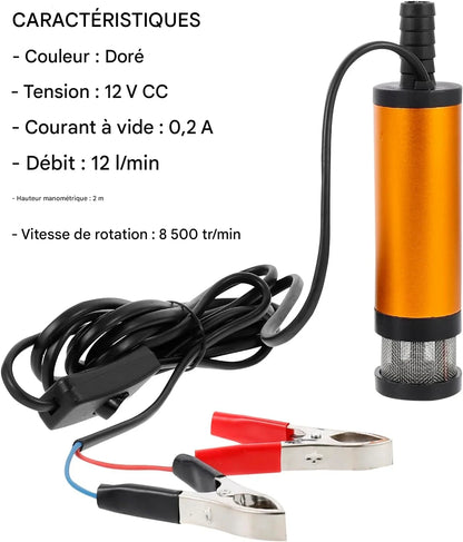 Pompe électrique de transfert d'huile et de carburant