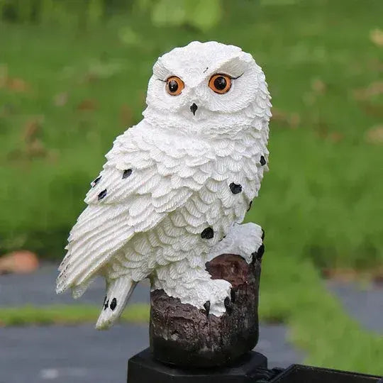 🔥Lumière de paysage décorative de jardin de hibou solaire