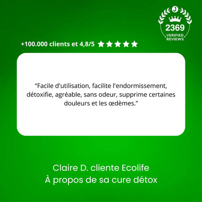 Patchs détox