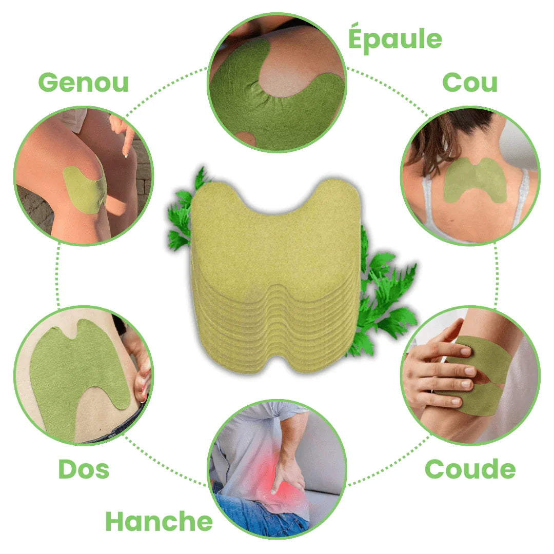 Cure de Patchs Absinthe Naturels – anti-inflammatoire - Régénérez Vos Articulations et muscles