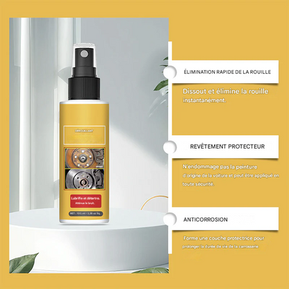 🛠️Spray professionnel antirouille pour métaux⚡